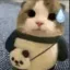 meowmeow