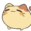 catNod