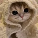 emoji_29