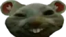 xddrat