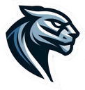 Panthers logo