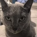 kazintimidation