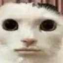 rizz_gyat_ohiocat Discord Emoji