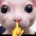 cat_bingusilence