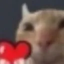 cat_heart