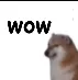 wow