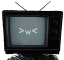 tvwoman