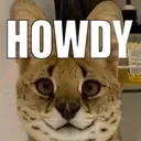 cathowdy Discord Emoji