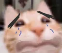 sadcat Discord Emoji