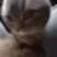 ehe