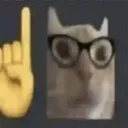 nerdcat