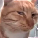 BAI_side BAI_side