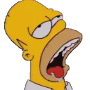 HomerDrool
