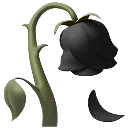 BlackWiltedRose