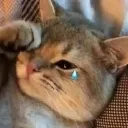 adiicry Discord Emoji