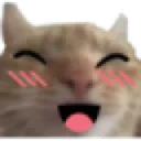 yirl_happycat