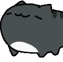 dark_grey_cat_nodding