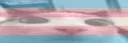 transplinK transplinK