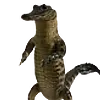 gatorStands