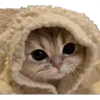 qhugzCozy