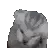 braintumor