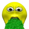 vomit