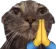 catpray