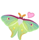 mothlove2