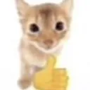 TV_thumbsupcat Discord Emoji
