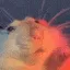 RatDance RatDance
