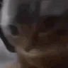 ChipiChipiChapaChapa ChipiChipiChapaChapa