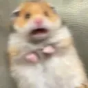scare