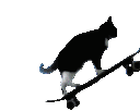 07blackcatskateboard Discord Emoji