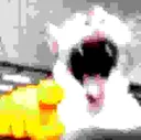 KEKOMOCAT