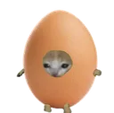 eggcat