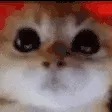RAGEY