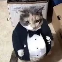 gentleman gentleman