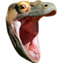 pog