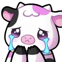 KsCryCow