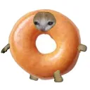 bagel_cat