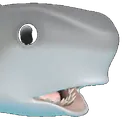 4337 Shark Pog Discord Emoji