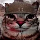 cat_1000yard_stare cat_1000yard_stare