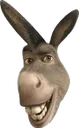 donkey20