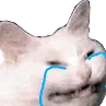 __