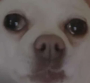 sad Discord emoji