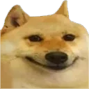 dogeSmoil dogeSmoil