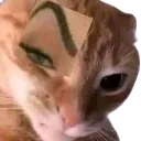 Cat_Sus