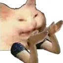 TB_m_catbutwhy Discord Emoji