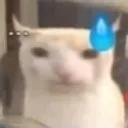cazimewncs5imewncat Discord Emoji