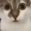 wuh